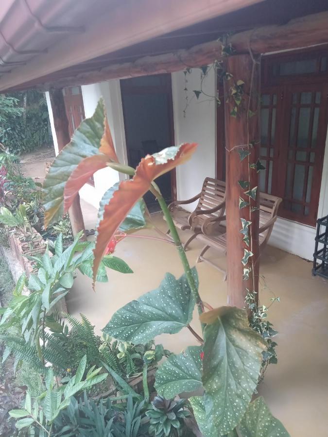 Supipi Homestay Ella Kültér fotó